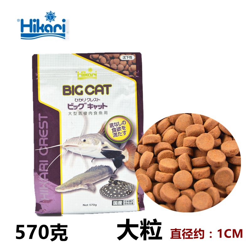 日本Hikari高够力老鼠鱼异型鱼素食饲料OCTO鱼粮卓比克贴片底栖鱼-图1