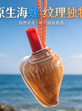 天然贝壳海螺大号口哨摆件