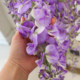 Butterfly dancing simulation giant wisteria internet celebrity landscaping good thing