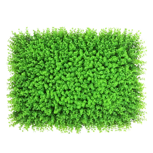 Зеленое растение Стенка Стены