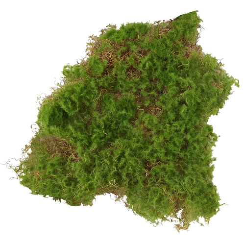 Мох кожа мох кусочки мх Мосс Столк