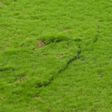 Имитированный мох, искусственный искусственный вечный газон, газон, микроландшафт, украшение зелеными растениями, ландшафтный дизайн, мощение цветочного бонсай