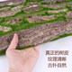 Highly simulated moss and bark pillars for landscaping pipe blocking
