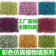Plastic plant wall decoration colorful Milanese eucalyptus