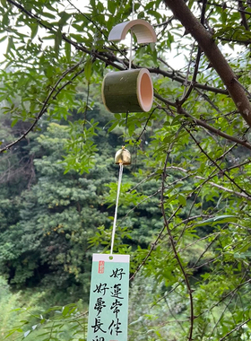 新鲜竹子风铃挂件中式风铃挂饰民宿酒店幼儿园装饰竹筒风铃成品