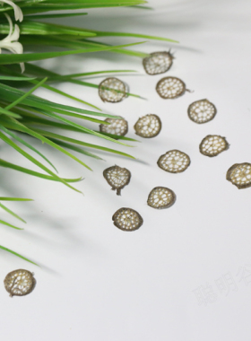 睡莲真花干花切片压花艺术花瓣