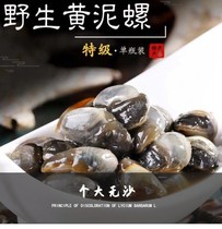 Tandong Special Products Seafood Drunkenly Super Yellow Mud Snail Live Cured Fresh Chaoshan Flavor Ready-to-eat Canned Crisp