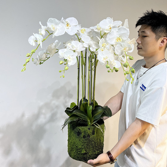 Floral Art Simulation Phalaenopsis Potted Terilihui