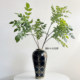 Telihui simulated paint leaves free shipping