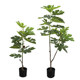 Simulated single fig branch with green plant