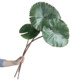 High-end simulated hand wet feeling single water lily lotus PU lotus leaf Chinese style national style artificial floral decoration