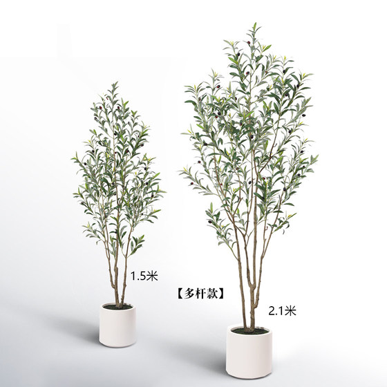 Terrihui large green olive tree floor-standing potted plant