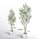 Terrihui large green olive tree floor-standing potted plant
