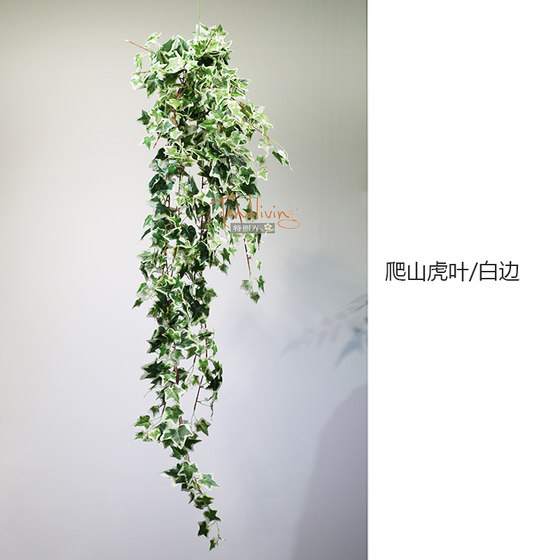 Simulation ivy pig heart leaf grape wall hanging vine