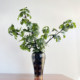 Simulated single fig branch with green plant