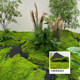 Simulated plant moss turf Zen landscape