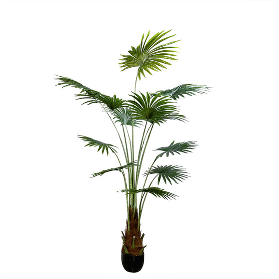 Palm leaf floor plant