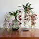 Simulated flower dining table ornaments living room indoor wall decoration
