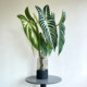 Terrihui/simulated single millennium taro leaf