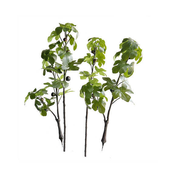 Simulated single fig branch with green plant