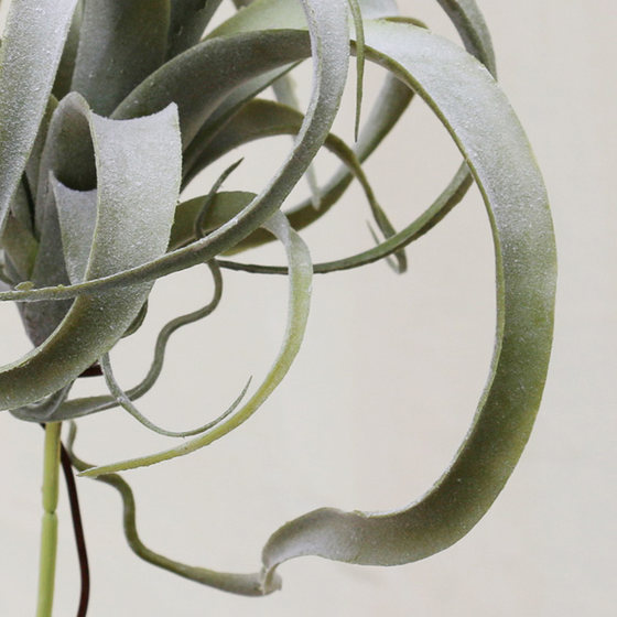 Simulated air wall decoration floral desert plants