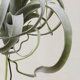 Simulated air wall decoration floral desert plants
