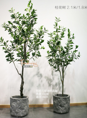 仿真桂花树盆栽特丽卉包邮