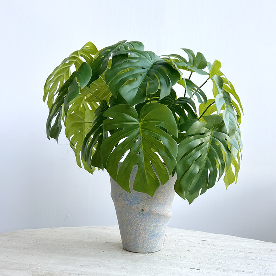 Simulated hand-feeling calla lily leaves, colorful taro leaves, green plants