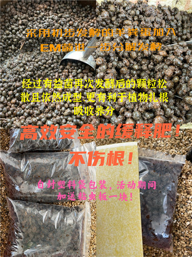 艾格园蜗牛多肉植物12卷瓦苇块根景天兰花专用颗粒土和缓释肥 - 图0