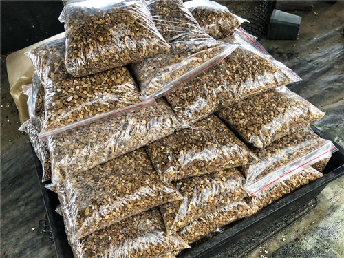 艾格园蜗牛多肉植物12卷瓦苇块根景天兰花专用颗粒土和缓释肥 - 图1