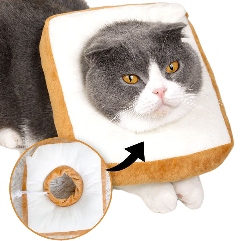 伊丽莎白圈可调节吐司面包猫绝育软项圈防舔咬狗狗脖圈实用设计,淘宝优惠券,粉丝福利购,淘宝优惠卷