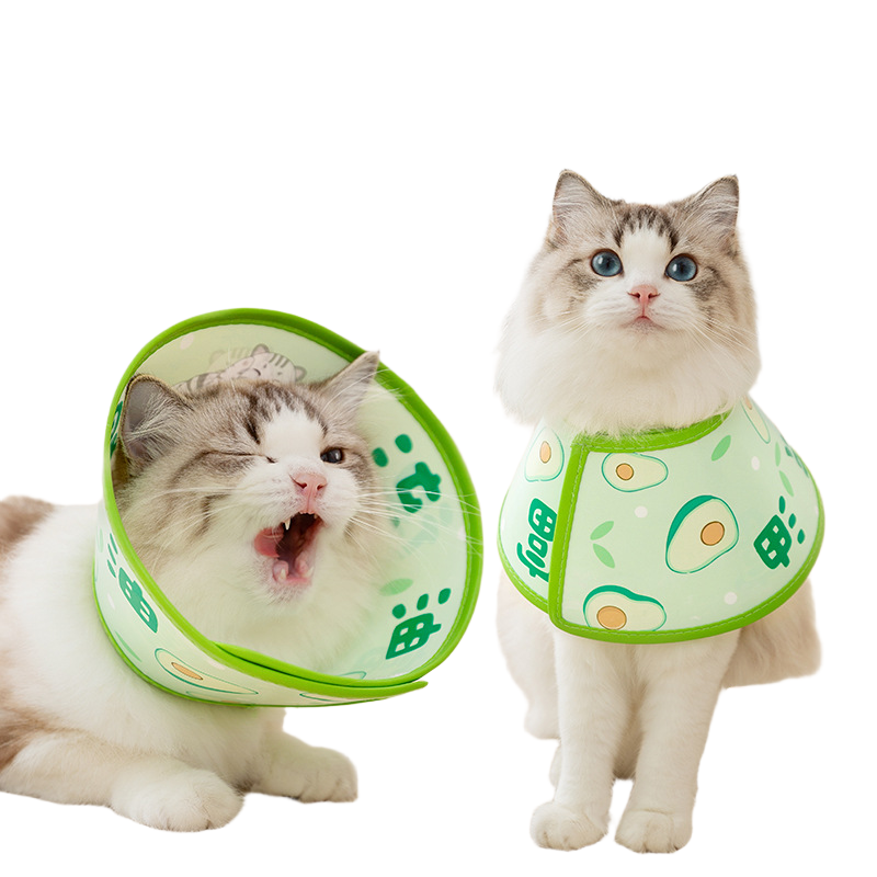 绿富得流油伊丽莎白圈防水可调防舔毛软皮耐磨宠物猫咪用品实用,淘宝优惠券,粉丝福利购,淘宝优惠卷