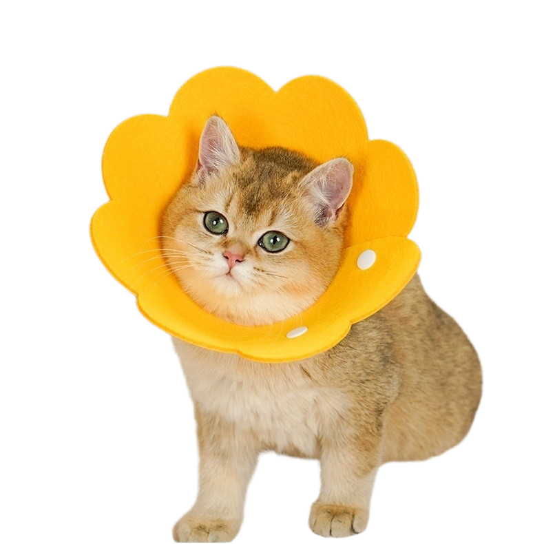 伊丽莎白圈猫咪术后防舔轻薄毛毡头套可调节宠物项圈实用恢复,淘宝优惠券,粉丝福利购,淘宝优惠卷