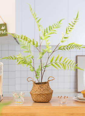 高仿真蕨类植物盆栽室内造景摆件