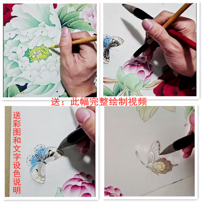 工笔画底稿白描画稿临摹底稿白描手勾熟宣线描可直接上色牡丹蝴蝶 - 图0