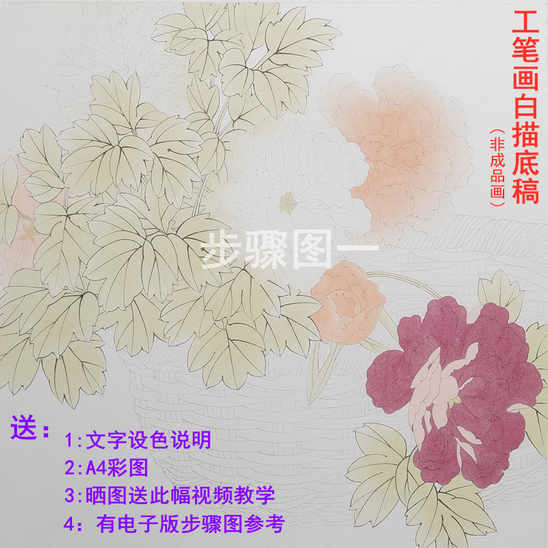 高清素材手勾可上色工笔画白描底稿四尺斗方牡丹花篮线稿花卉线描 - 图0