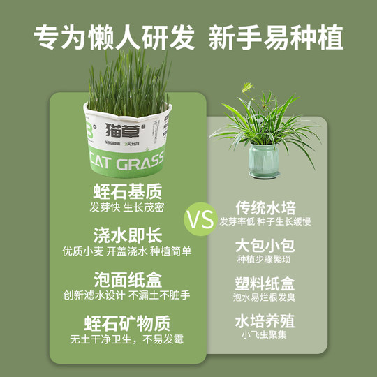 Parrot malt grass grain barley seed bird grass box