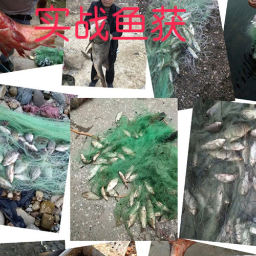 绿丝三层渔网捕鱼网粘网沉网丝网3456指1.5米2米高鲫鱼鲢鱼鲤鱼网 - 图1