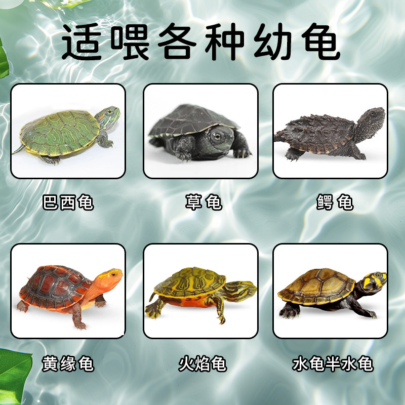 龟粮乌龟饲料巴西龟专用草龟食物甲鱼石金钱粮食鳄龟小水龟粮通用,淘宝优惠券,粉丝福利购,淘宝优惠卷