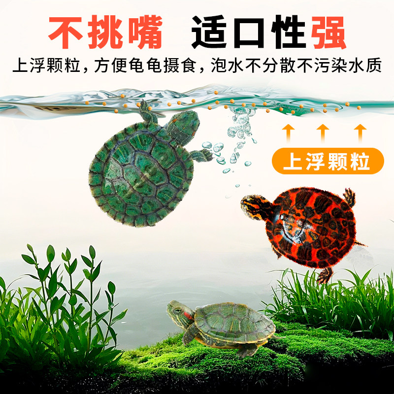 龟苗开口粮幼龟龟粮小乌龟专用粮食物小龟甲鱼巴西龟草龟通用饲料,淘宝优惠券,粉丝福利购,淘宝优惠卷