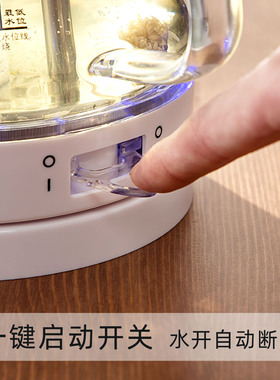 思奈尔玻璃电热烧水壶透明小型