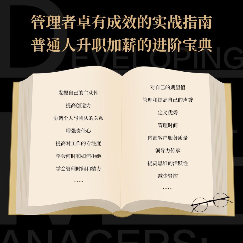 管理者20法则 丽莎·汉娜伯格 著 升职加薪进阶宝典 管理实践职场提升 商业思维 世界五百强企业的管理秘籍 管理 - 图0