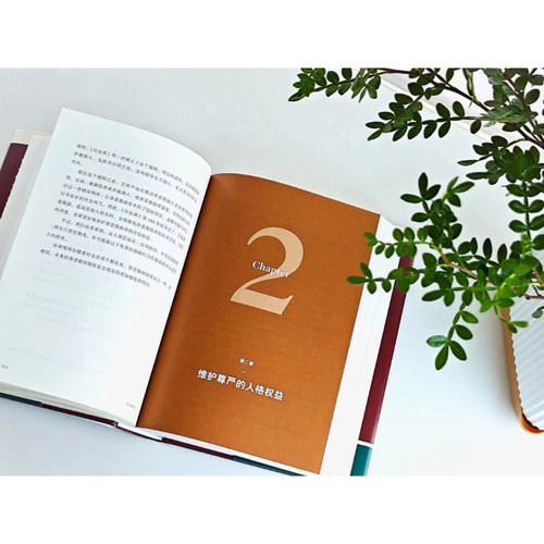 杨立新民法典讲义 上下两册 得到通识讲义系列 人生7大阶段 400个案例覆盖日常衣食住行没事不惹事有事不怕事 法律 - 图2