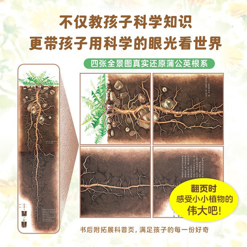 我身边的大自然 全8册 7-10岁 五味太郎 等著 教孩子用科学的眼光看世界 儿童绘本,淘宝优惠券,粉丝福利购,淘宝优惠卷