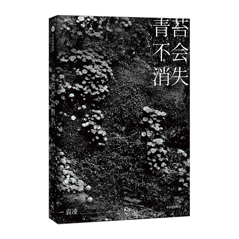 青苔不会消失 袁凌 著 柴静、胡舒立激赏 年度十大好书 - 图3