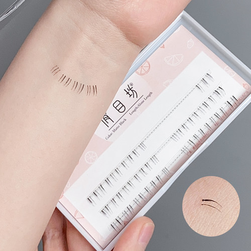 下睫毛两根一簇分段式自然仿真两簇假睫毛美睫师妈生款透明梗朵毛 - 图1