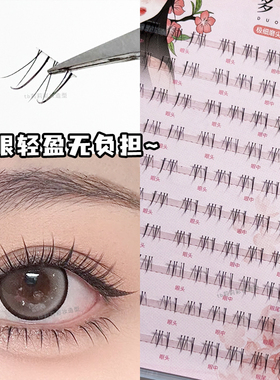 小白狐下睫毛分段式自然款