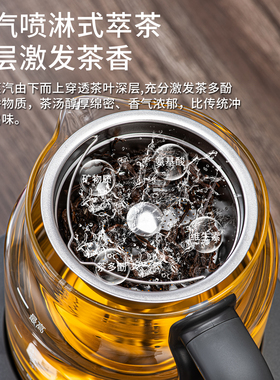 新款蒸汽喷淋式萃煮茶器养生茶壶