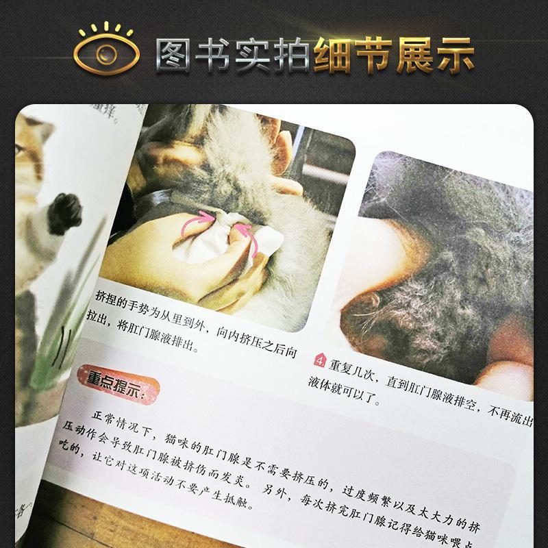 宠物猫常见问题家庭处置及护理我的宠物系列如何饲养猫咪当一个合格的铲屎官猫咪养护入户指南家有喵星人养猫新手养猫手册-图1