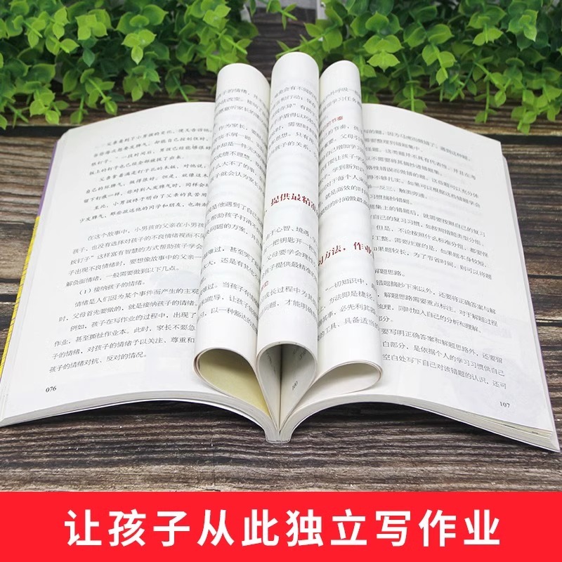 3册 超解费曼学习法+你只是看上去在陪孩子写作业+这样给孩子定规矩让孩子不抵触的魔性方法学霸是这样炼成的好父母不吼不叫育儿书